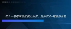 双十一电商评论区暴力引流,日引500+精准创业粉