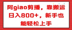 阿giao剪播,靠搬运日入800+,新手也能轻松上手【揭秘】