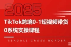 大亿老师TikTok跨境0-1短视频带货,系统拆解TikTok跨境带货全链路,实现跨境可持续盈利