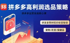 久号老师·拼多多选品暴利技术实战课,拼多多高利润选品策略,拼多多限时低价标签秘诀