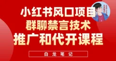 小红书风口项目日入300+,小红书群聊禁言技术代开项目,适合新手操作