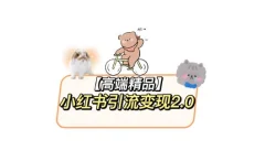小红书最新引流变现教程,全网最新最详细的视频教程以及素材