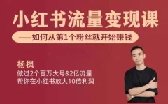 小红书流量变现课【视频:11节】