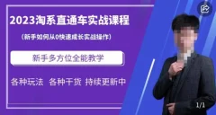 2023淘系直通车保姆式运营讲解,新手如何从0快速成长实战操作,新手多方位全能教学