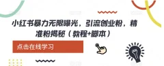 小红书暴力无限曝光,引流创业粉,精准粉揭秘(教程+脚本)