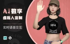 Ai数字人虚拟(智能体)实时语音交互特训营,自行定制超写实角色AI数字人交互技术