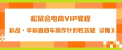 松鼠会电商VIP教程:松鼠《付费推广标品·半标直通车操作针对性答疑&诊断》