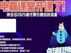 电霸学堂拼多多2025微付赛引爆自然流量,拼多多电商运营教程,运营、推广、打爆品、微付费