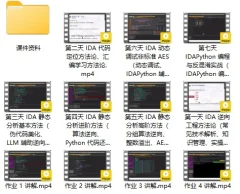 7天打造IDA9.0 大师:从零基础到逆向精英(价值299元)