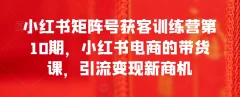 小红书矩阵号获客训练营第10期,小红书电商的带货课,引流变现新商机