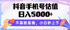 抖音手机号估值,不露脸直播,小白秒上手