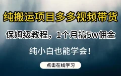 纯搬运项目多多视频带货保姆级教程,1个月搞5w佣金,纯小白也能学会