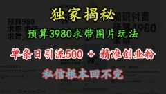 图片玩法,单条日引流500+精准创业粉,私信根本回不完