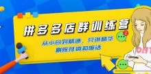 拼多多店群训练营 课程从基础到运营