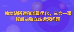 独立站搭建和流量优化,三合一课程解决独立站运营问题