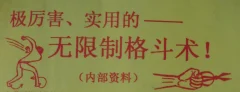 陈鹤皋格斗术