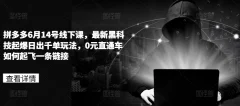 拼多多6月14号线下课,最新黑科技起爆日出千单玩法,0元直通车如何起飞一条链接