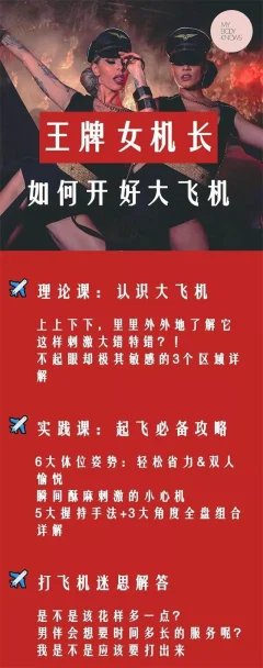 罗南希《王牌女机长-如何开好大飞机》