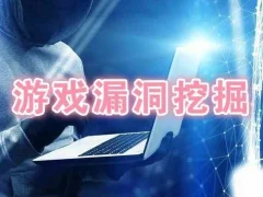 游戏漏洞挖掘端游页游手游逆向破解 价值2000