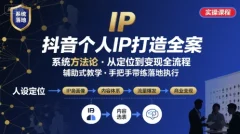 抖音个人IP系统落地实操大课,实操课程,辅助落地