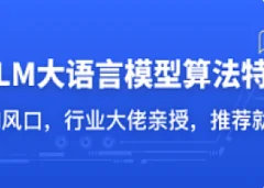 LLM大语言模型算法特训 带你转型AI大语言模型算法工程师