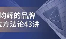 顾均辉的品牌定位方法论43讲
