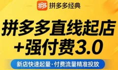 泓一老师·拼多多直线起店+强付费3.0(更新4月)