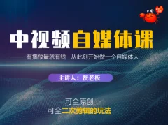 蟹老板·中视频自媒体训练课