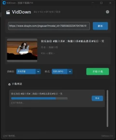 VidDown视频下载器v1.0 可无水印下载B站/钭音/油管等