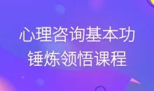 心理咨询基本功锤炼领悟课程