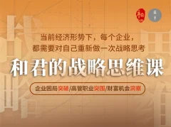 和君的战略思维课-企业困局突破/高管职业突围/财富机会洞察