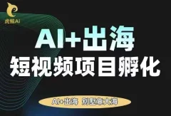AI·TikTok AI+出海短视频项目孵化,陪你从0-1借助AI实现出海变现