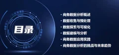 商务数据分析教程