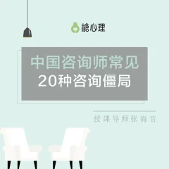 张海音 中国咨询师常见的20种咨询僵局 微课40讲录音+课件