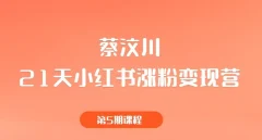 蔡汶川《21天小红书涨粉变现营》第5期课程
