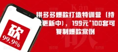 拼多多爆款打造特训营(持续更新中),199元*100套可复制爆款案例