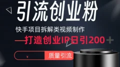 快手项目拆解类视频详细制作流程打造个人IP,单日引流200+高质量创业粉