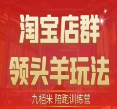 九栢米-淘宝店群领头羊玩法,教你整个淘宝店群领头羊玩法以及精细化/终极蓝海/尾销等内容