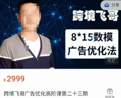 跨境飞哥·广告优化高阶课第二十三期,8*15数模广告优化法,用数据驱动决策