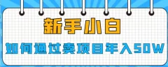 新手小白如何通过卖项目年入50W