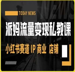 派妈流量变现私教课,小红书赛道IP 商业 店铺
