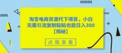 淘宝电商资源代下项目,小白无需引流复制粘贴也能日入300+【揭秘】