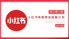 2025小红书虚拟电商实战课,从0到1打造无货源店铺,AI+爆款笔记轻松变现