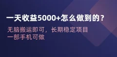 一天收益5000+怎么做到的?无脑搬运即可,长期稳定项目,一部手机可做【揭秘】