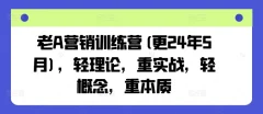 老A营销训练营(更24年9月),轻理论,重实战,轻概念,重本质