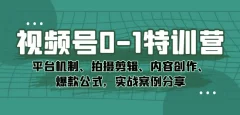 视频号0-1特训营:平台机制、拍摄剪辑、内容创作、爆款公式,实战案例分享
