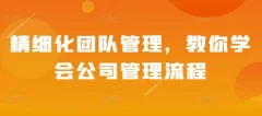精细化团队管理,教你学会公司管理流程