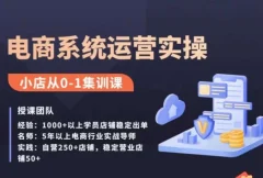抖店精细化运营全案课,抖音小店从0-1集训营,电商系统运营实操课