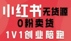 爱野佩佩小红书无货源0粉电商课,开店准备、选品策略、笔记撰写、视频剪辑、数据分析、账号打造、资料文档