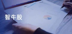 JavaEE企业级实战项目 智牛股(资料完整)